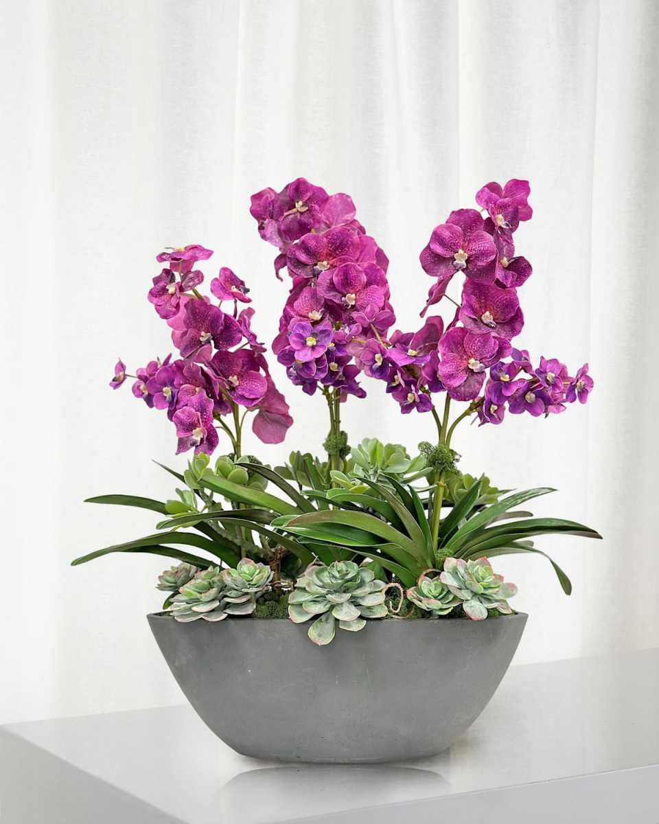 Vanda Orchid in Oval Planter, 30.5"